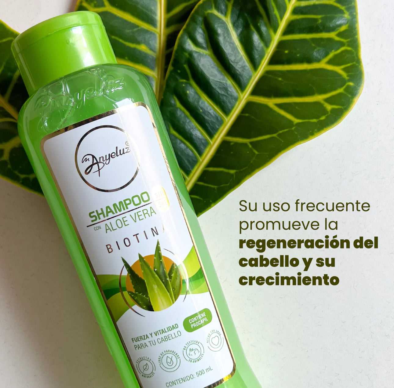 SHAMPOO DE ALOE VERA