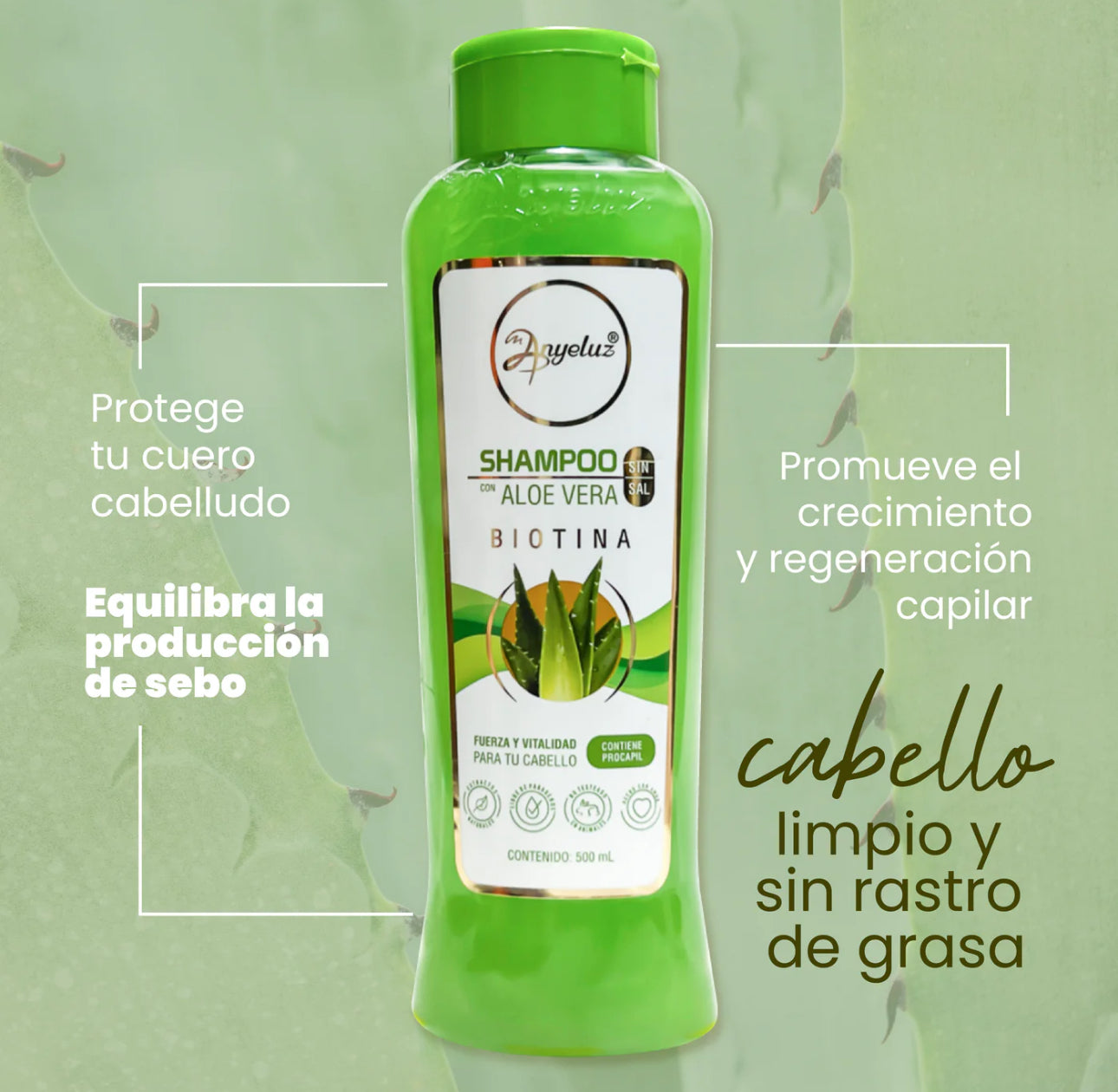 SHAMPOO DE ALOE VERA