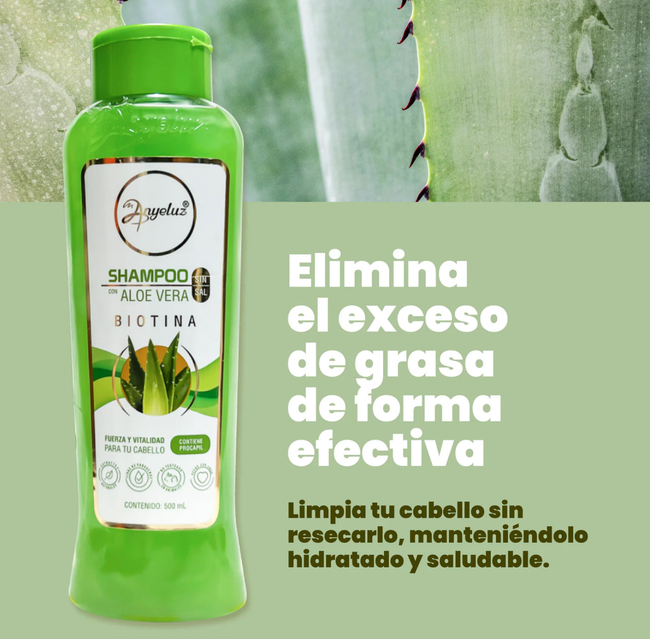 SHAMPOO DE ALOE VERA